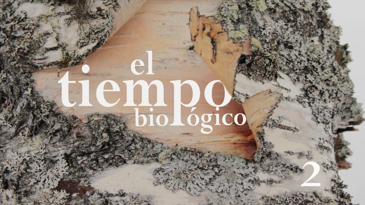 image from El Tiempo Biológico